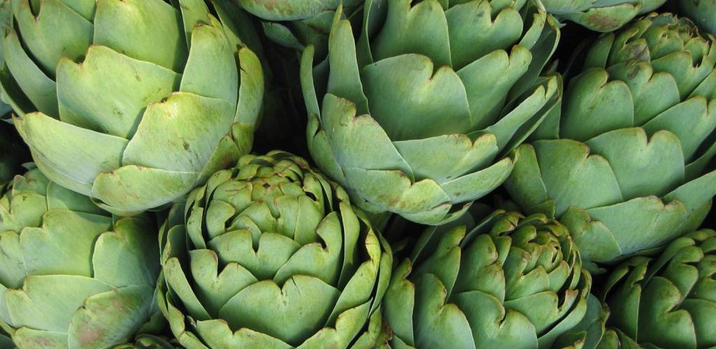 Fresh Vegetables Eden Garden